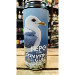 Nepomucen Common Gull